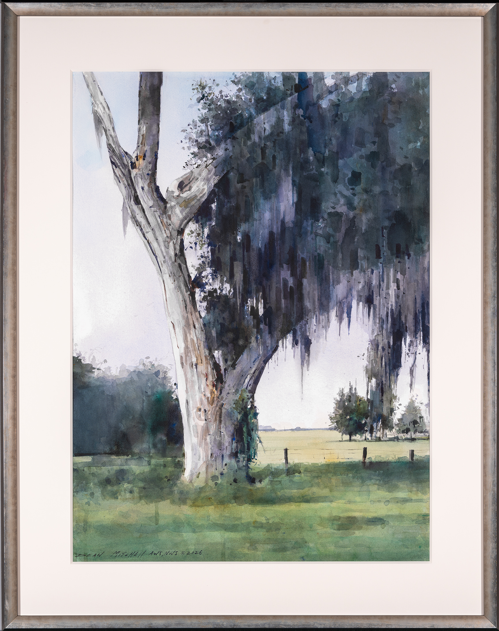 southern-oak-82608