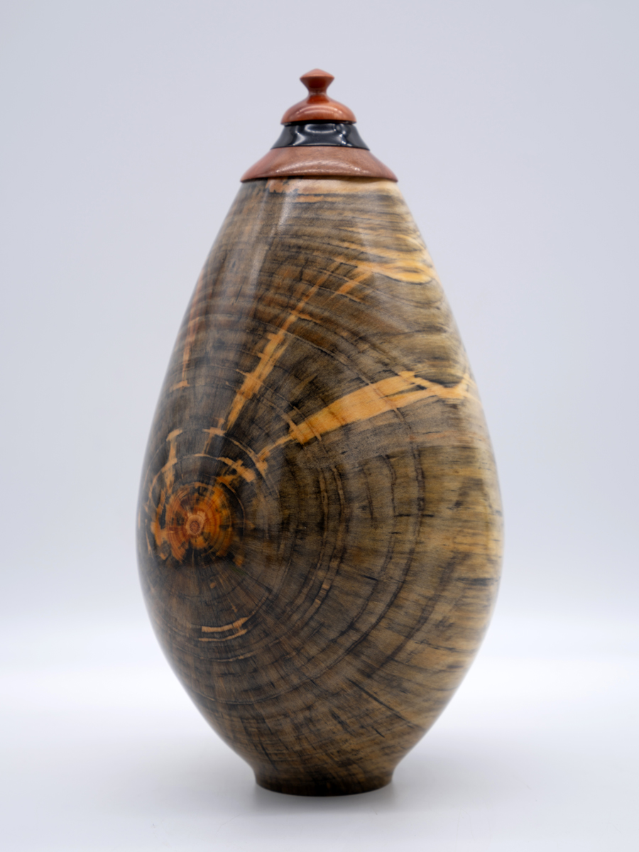 star-burst-400-79119