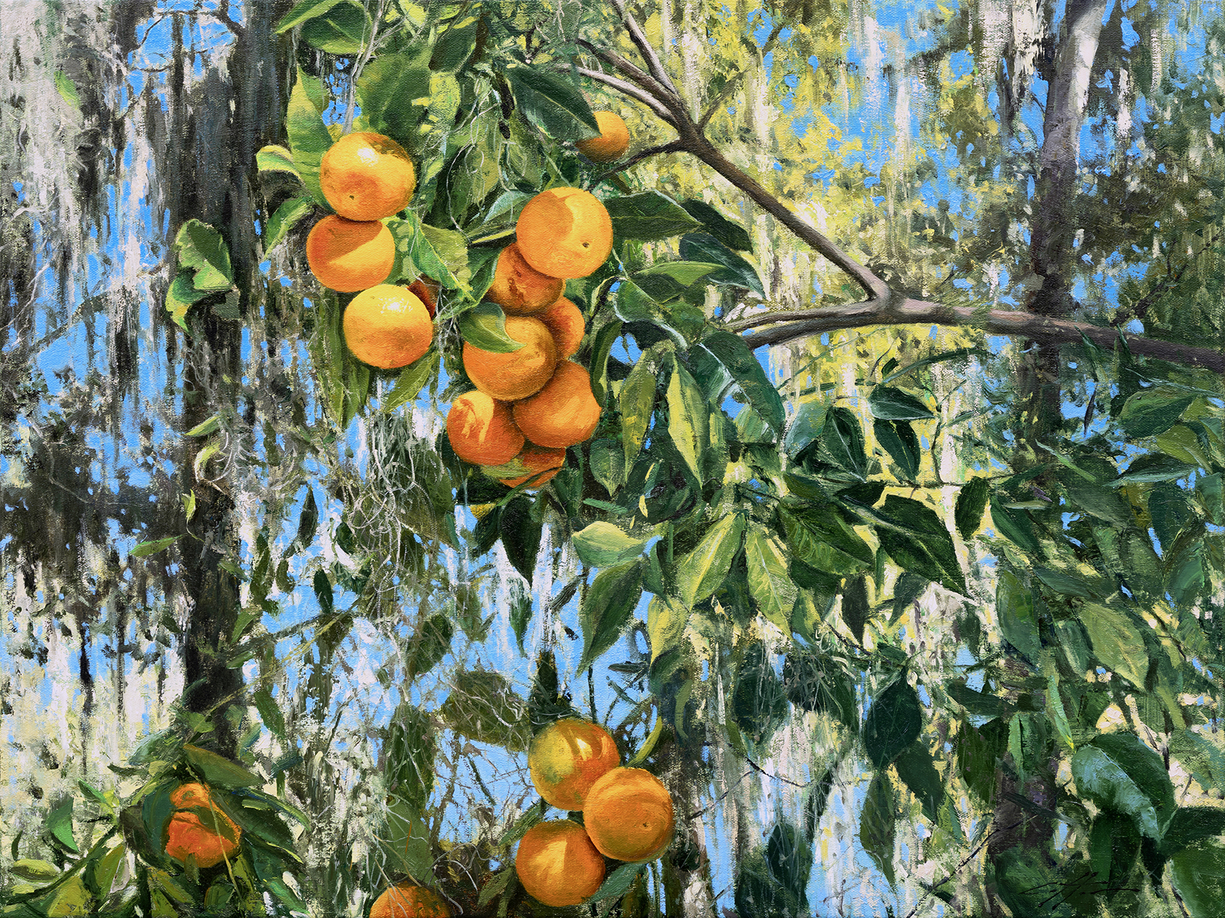 Matthew Cutter - Wild Florida Oranges II