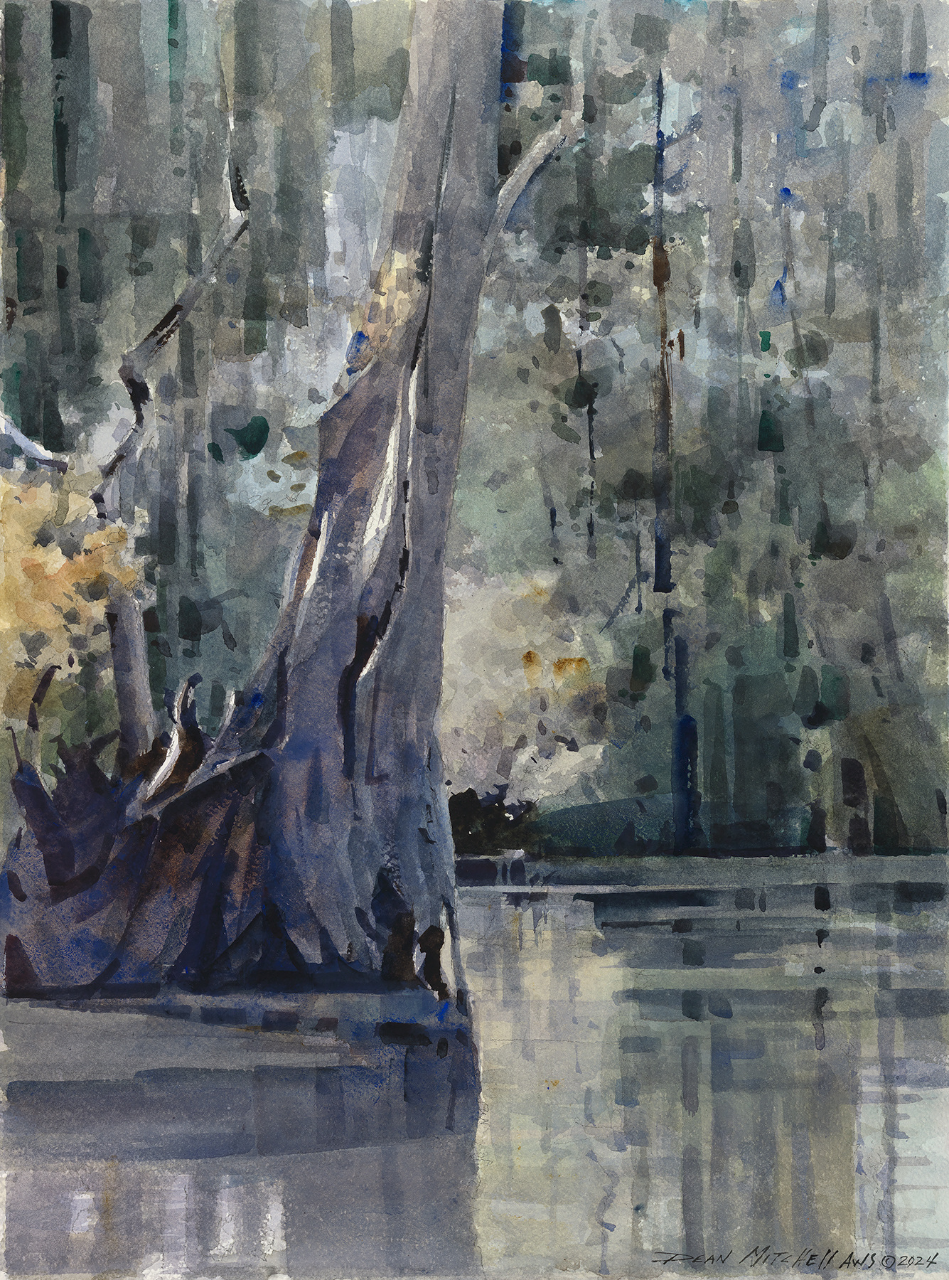 Dean Mitchell - Cypress Reflections