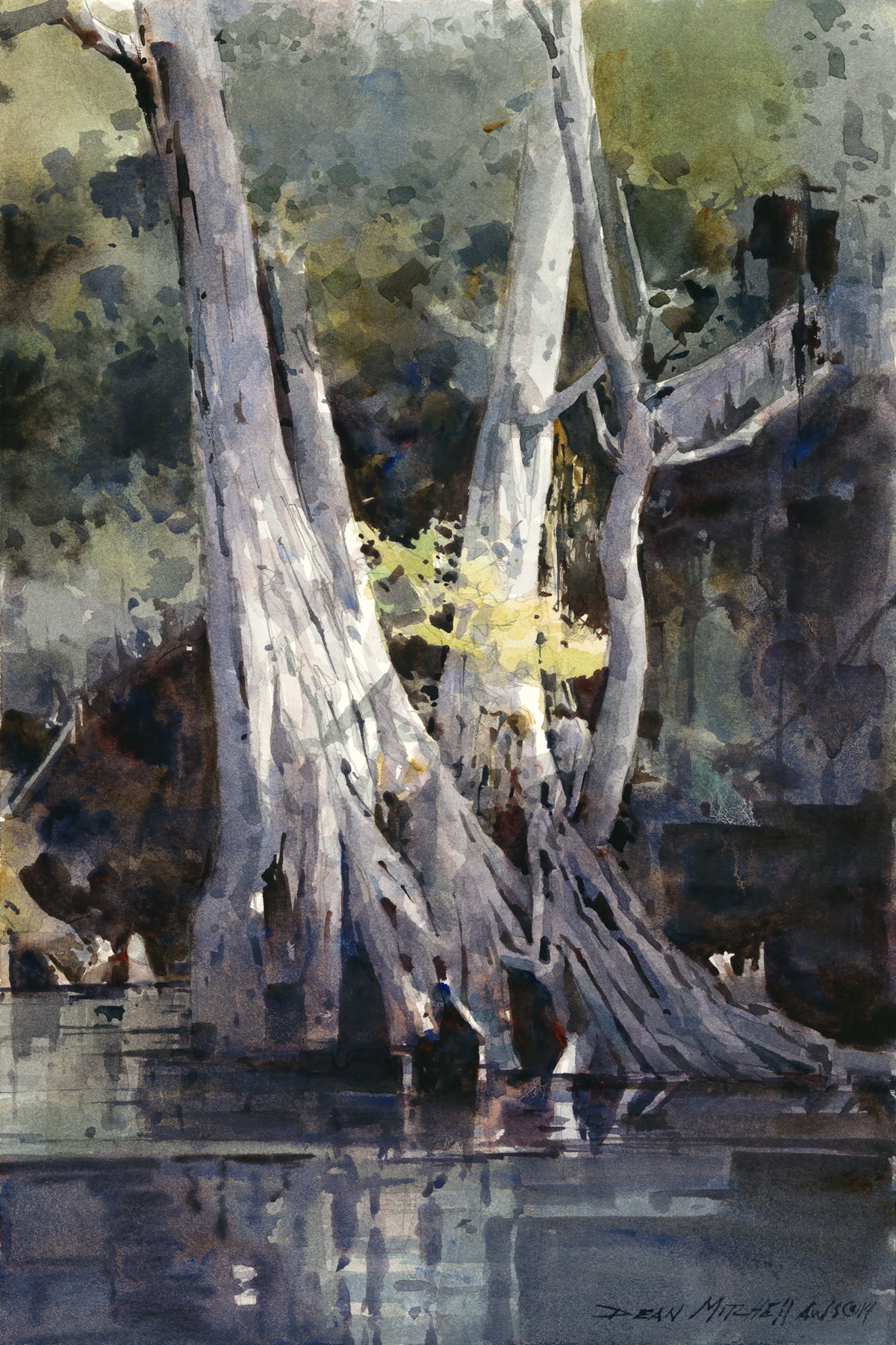 Dean Mitchell - Florida Springtime Cypress