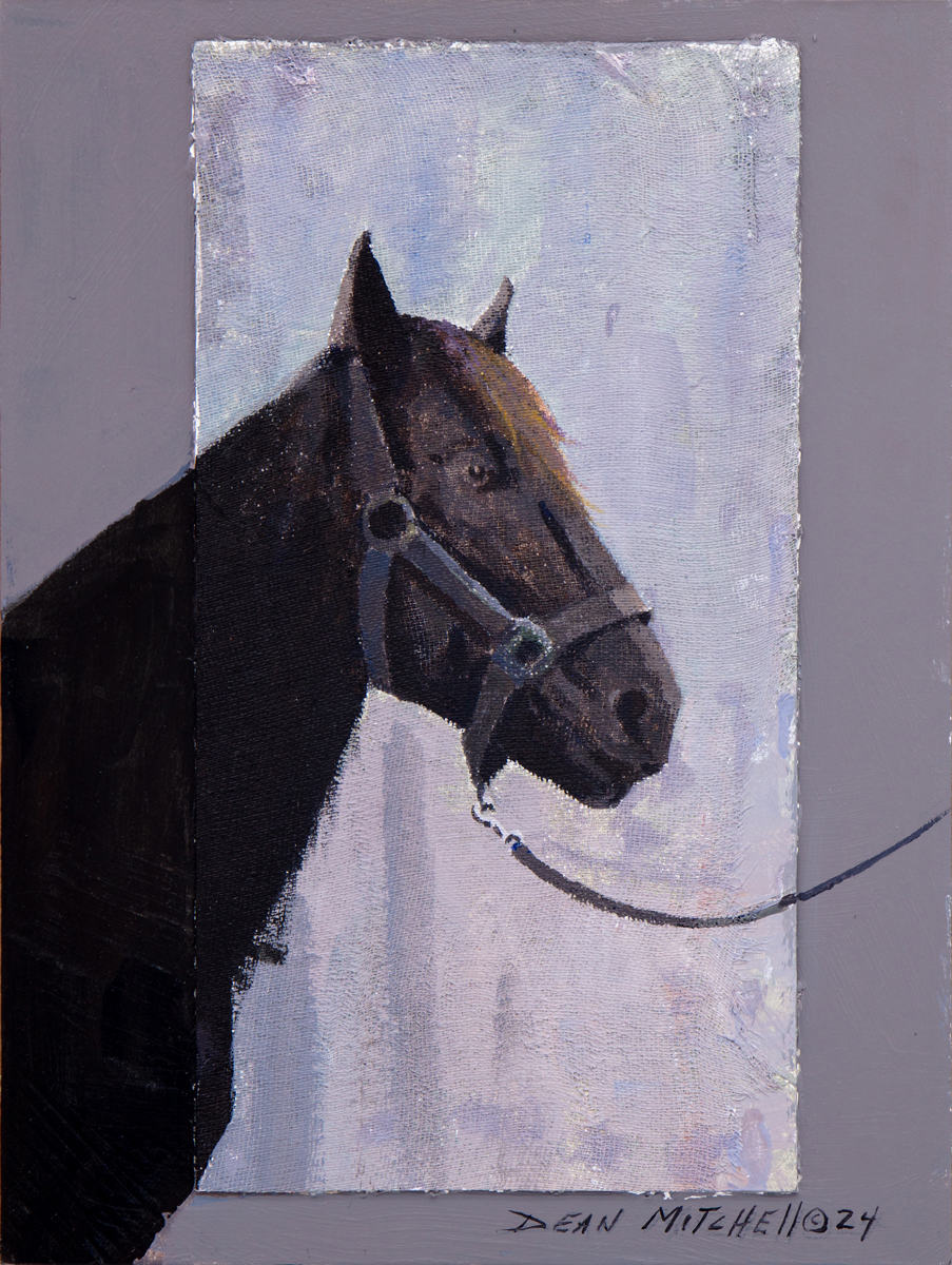 Dean Mitchell - Horse