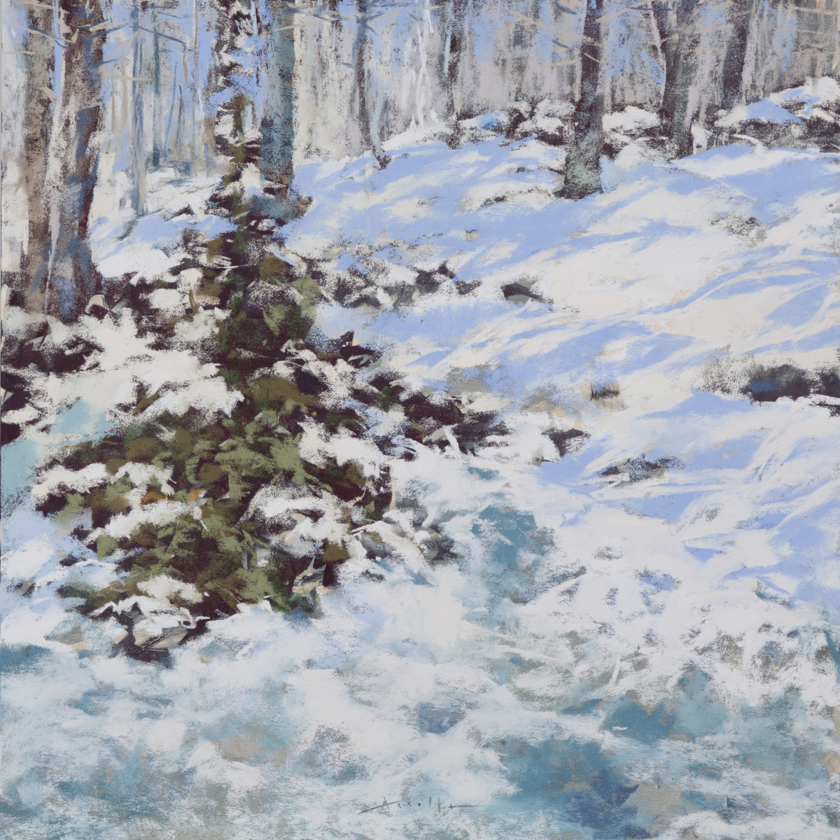 Lyn Asselta - Backyard Under Snow