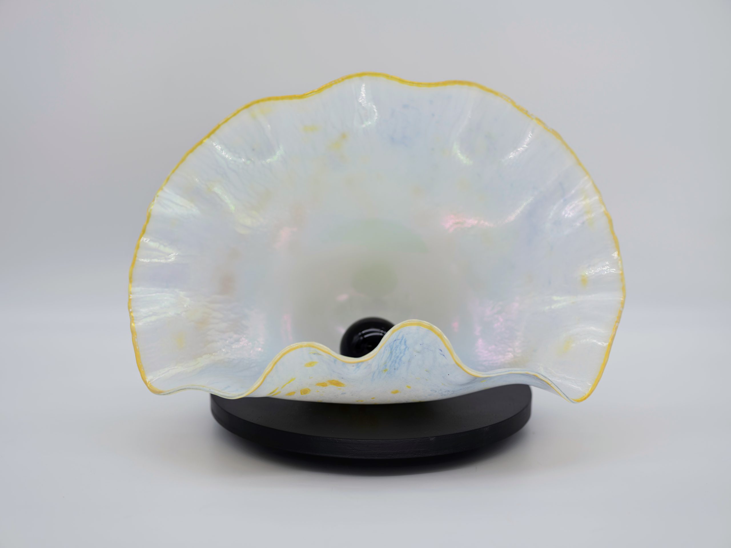 Daniel Lotton - Stretched Opal Clamshell with Pearl