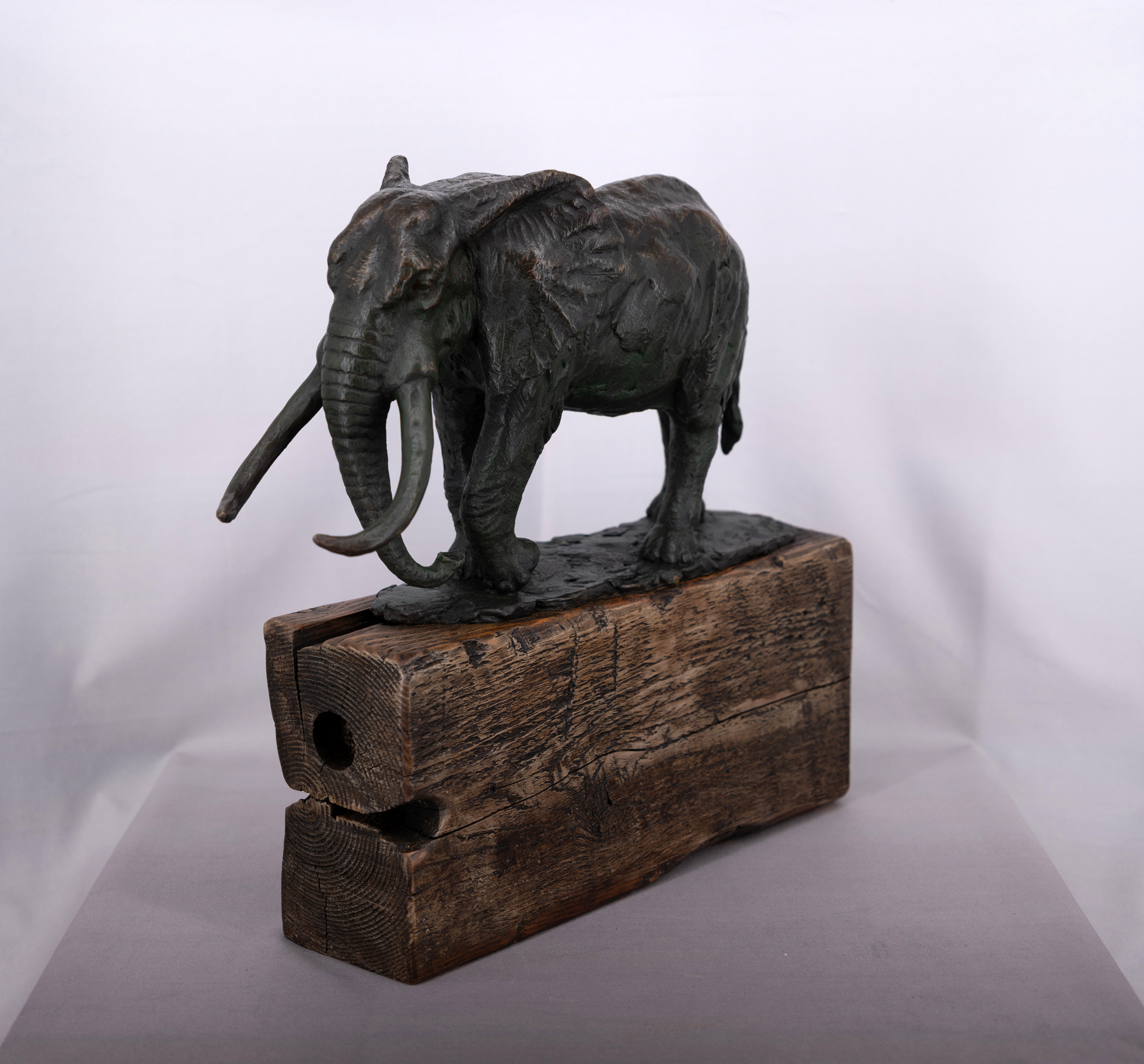 Rod Zullo - The Last Tusker