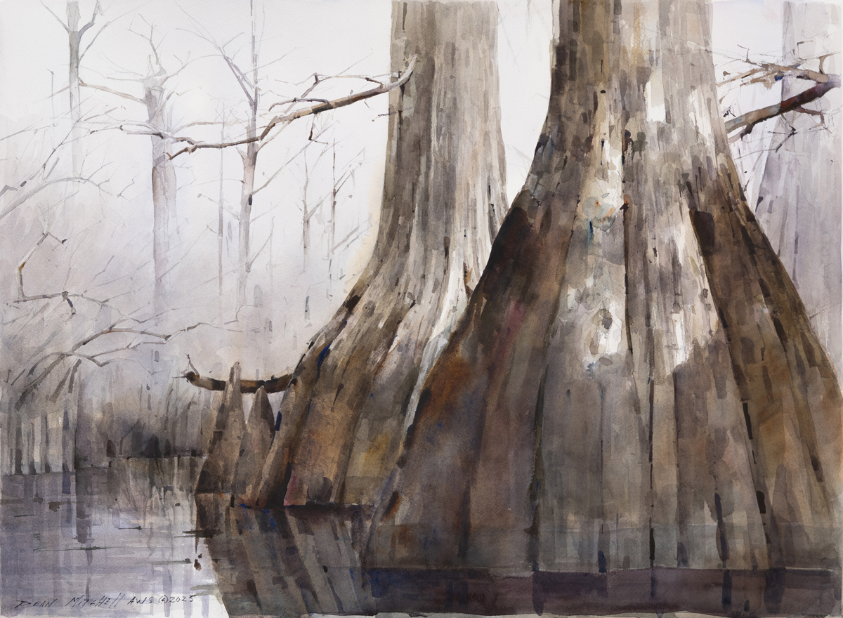 Dean Mitchell - Cypress Wetlands