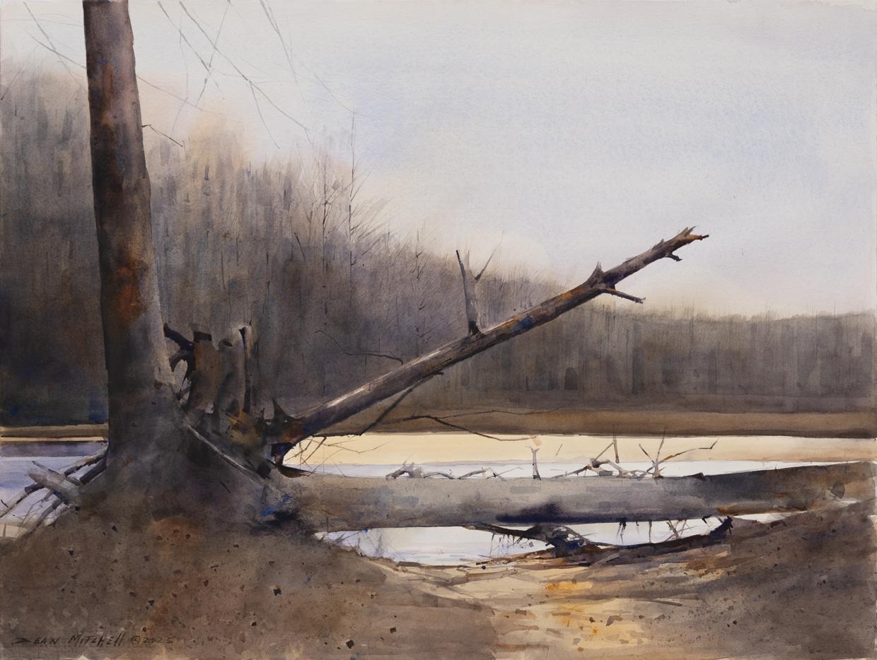 Dean Mitchell - Forest Dagger