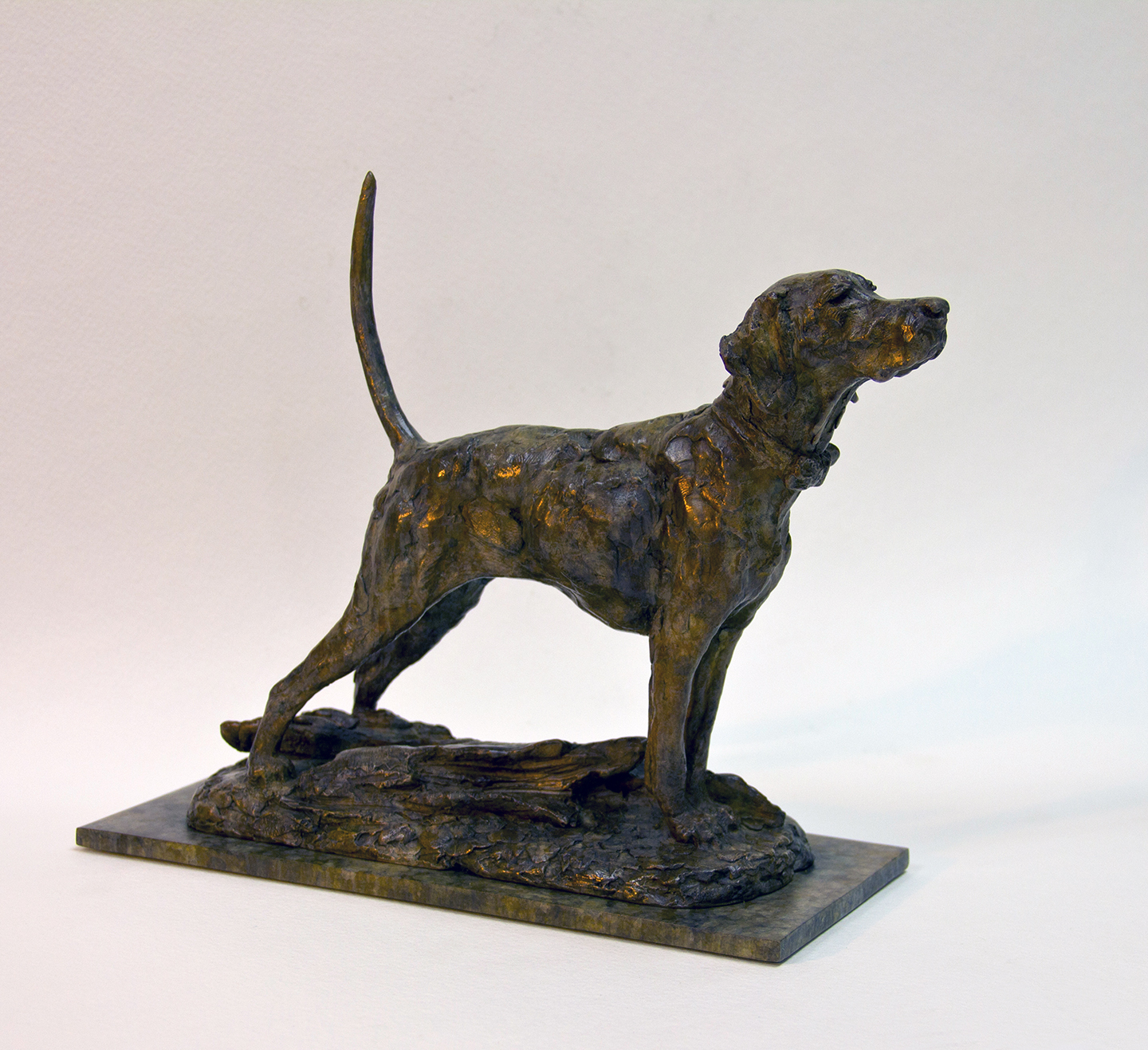 Rod Zullo - My Dad's Pointer, Bo
