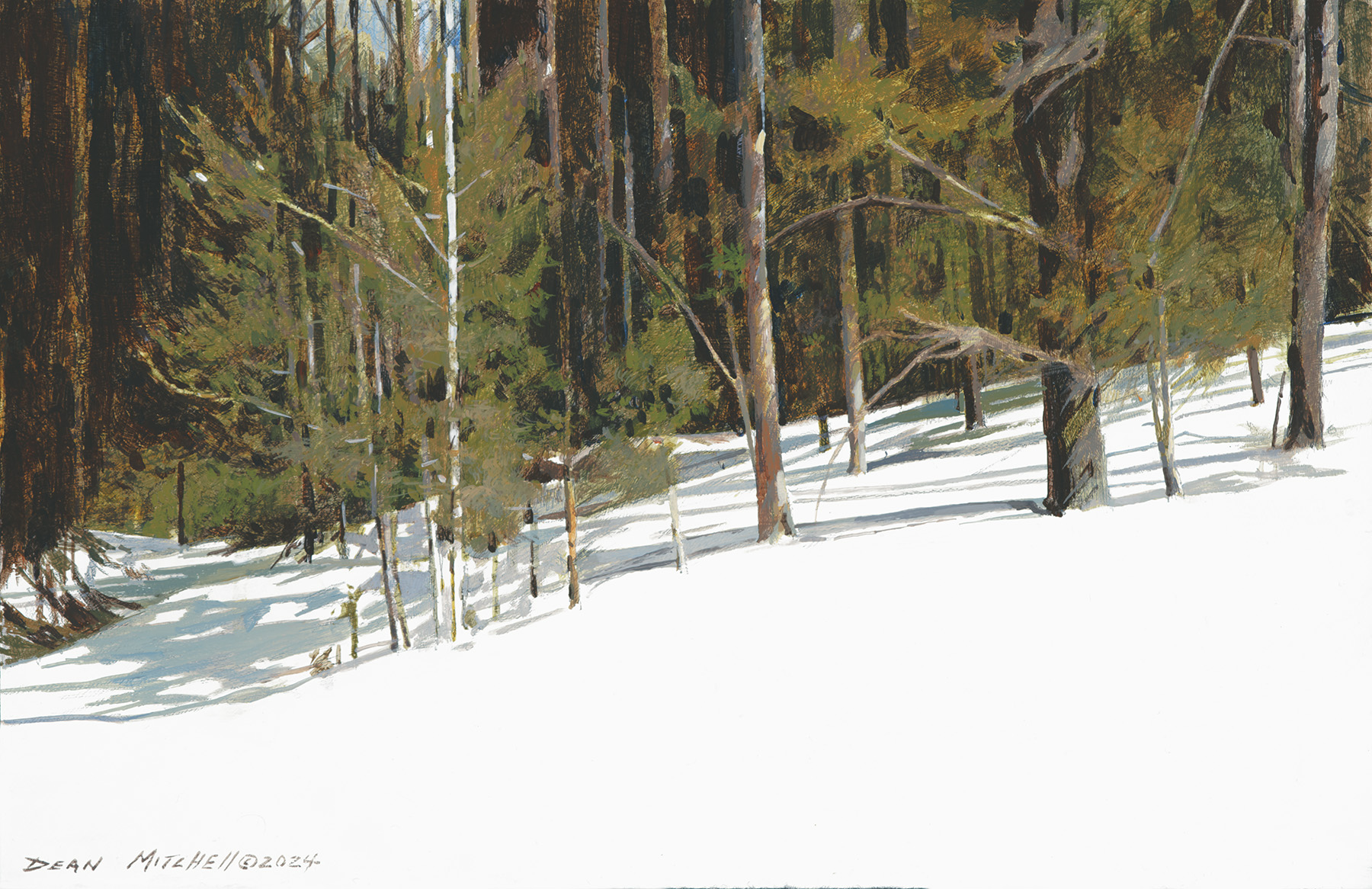 Dean Mitchell - Winter Pines