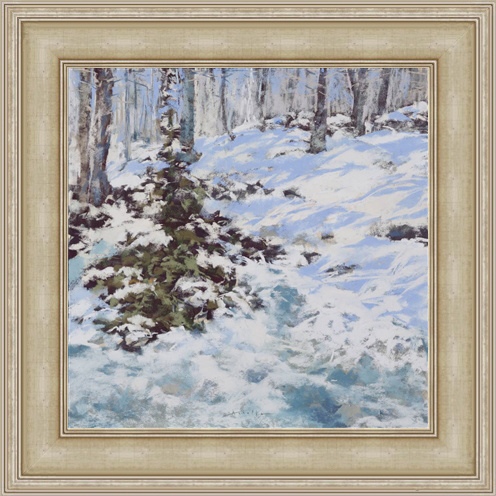 backyard-under-snow-78066-3-1