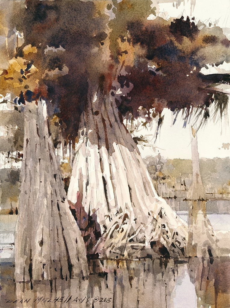 Dean Mitchell - Cypress Trees