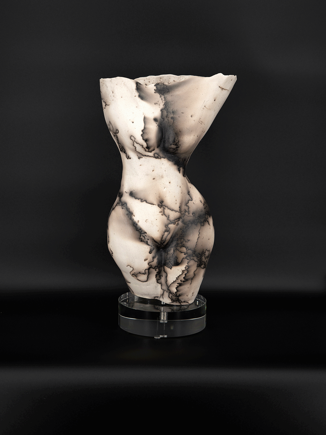 horse-hair-torso-iv-78265-1-1