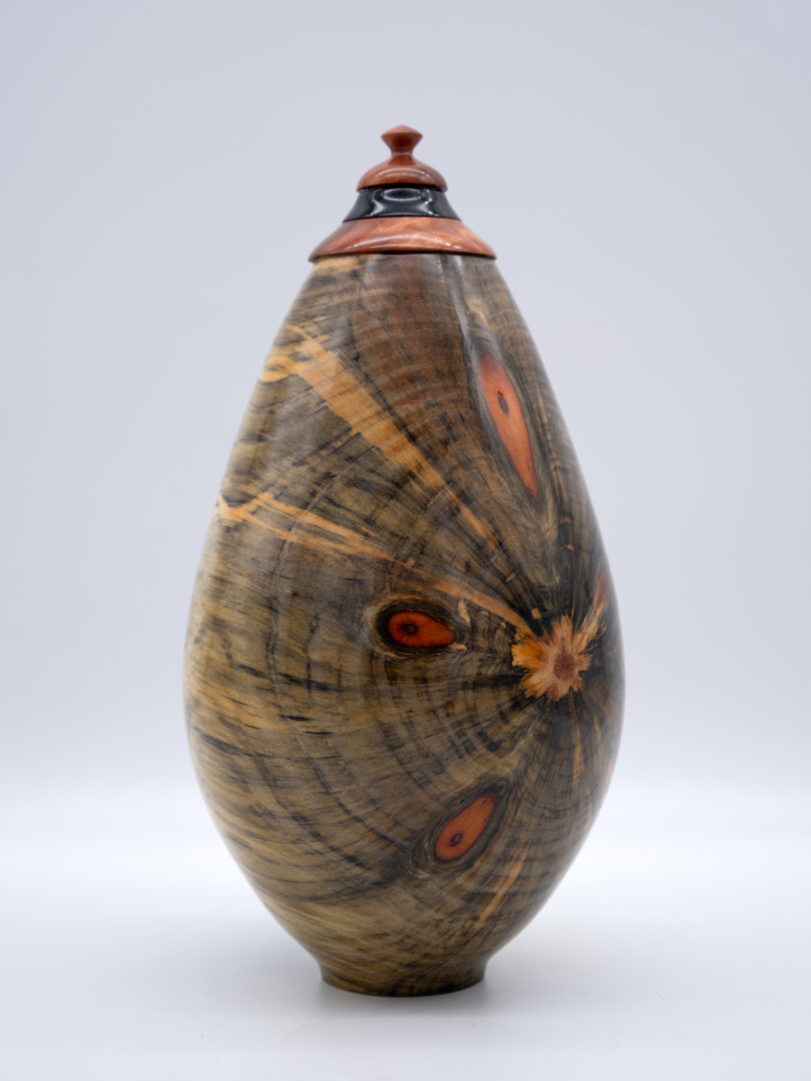 Mark Wood - Star Burst - $400