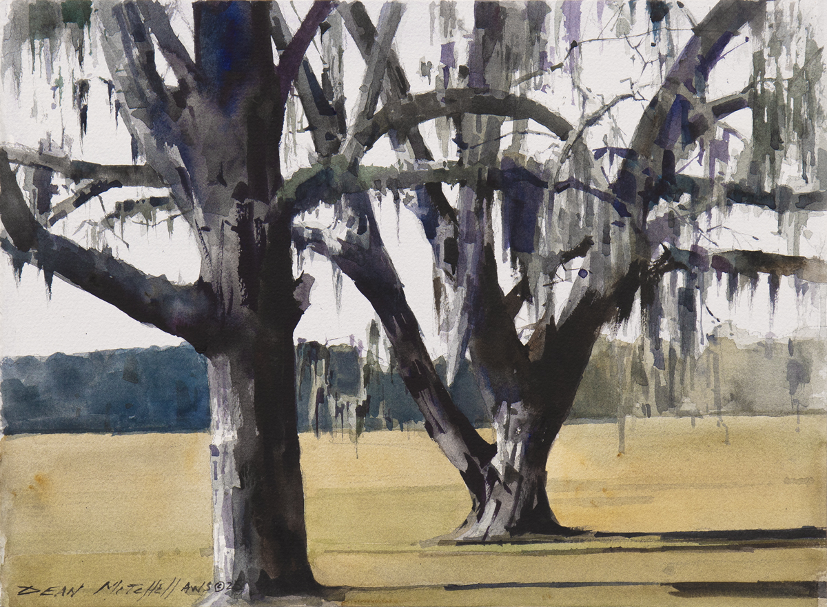 Dean Mitchell - Dripping in Southern Moss