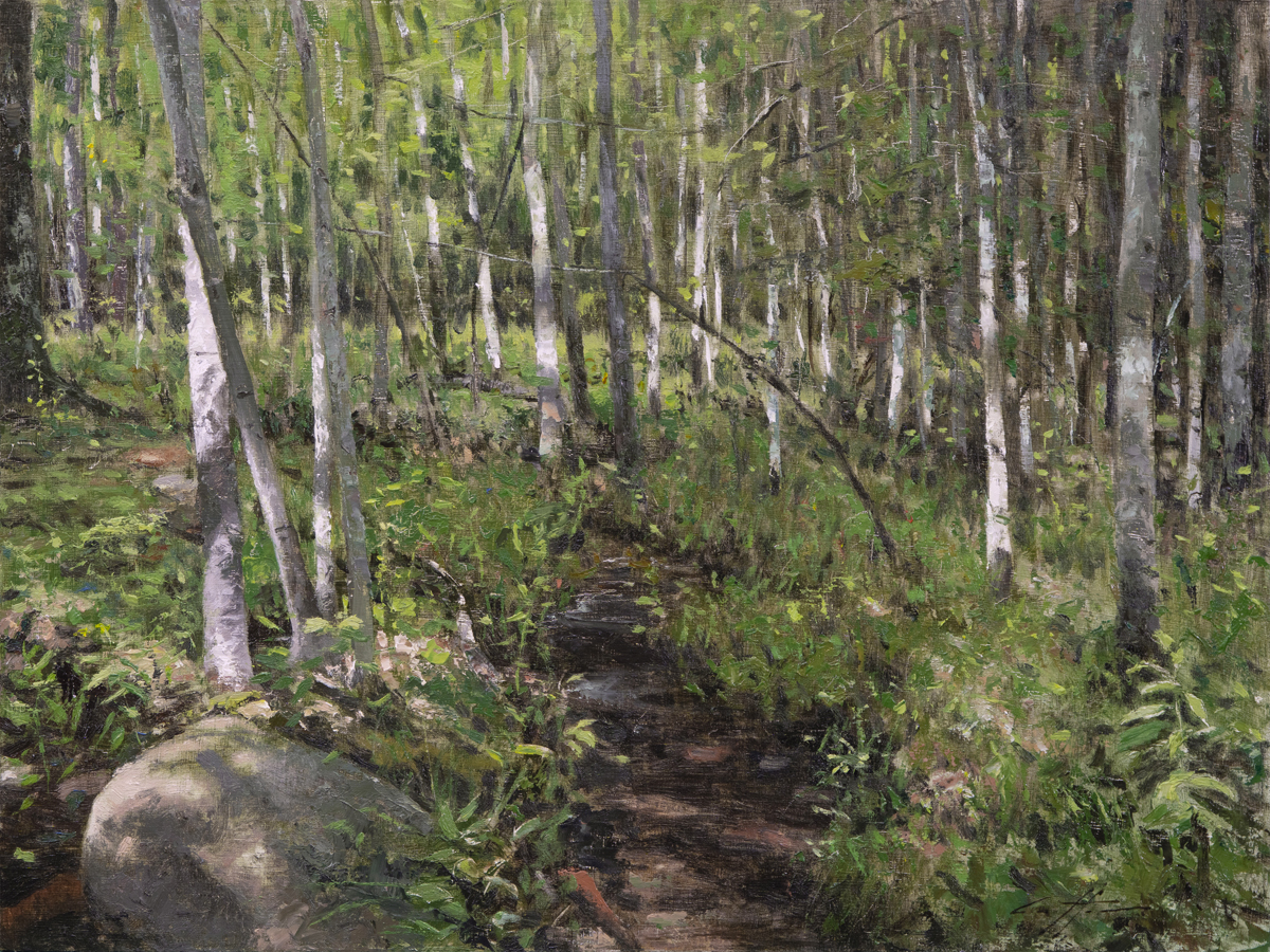 Matthew Cutter - Forest Stream