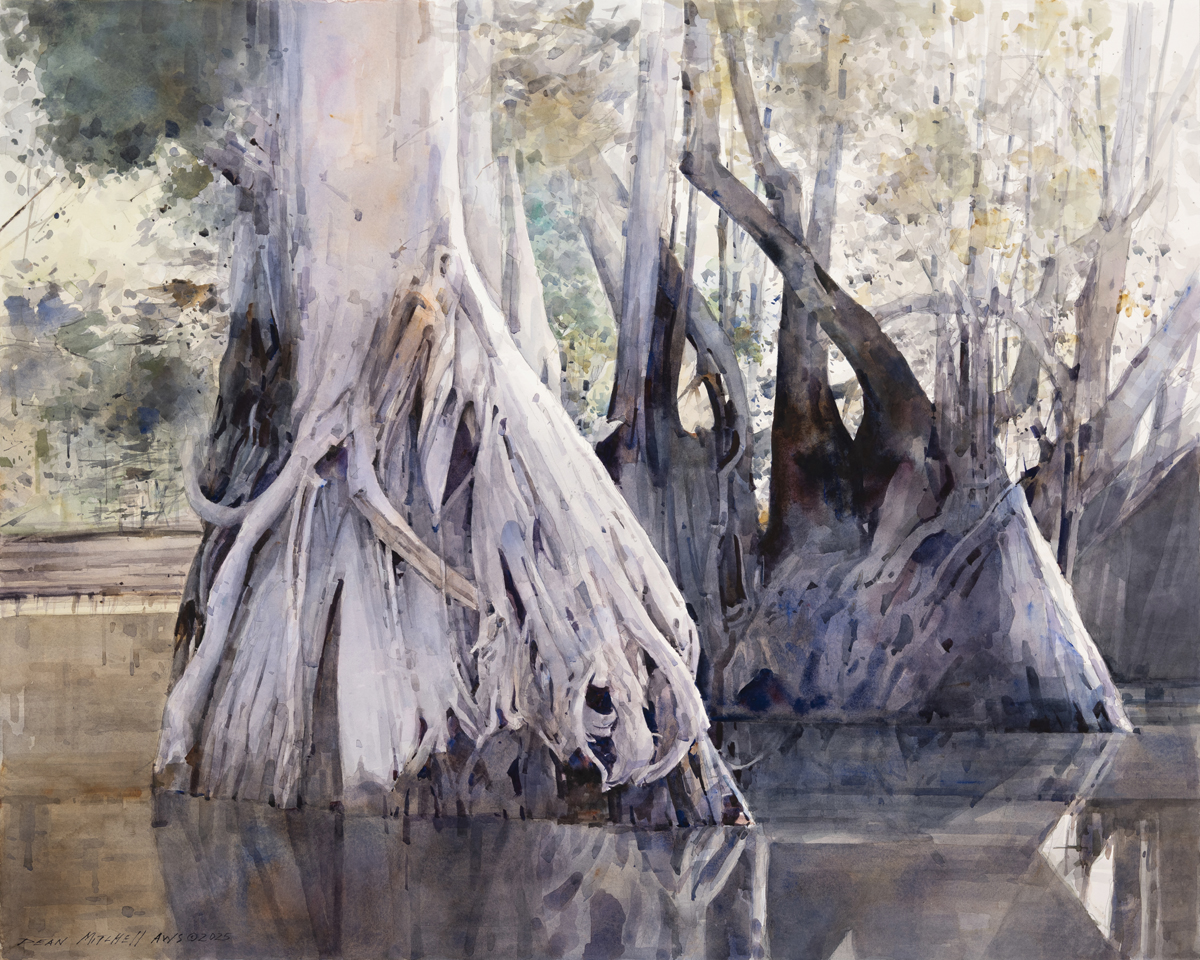 Dean Mitchell - Springtime Cypress