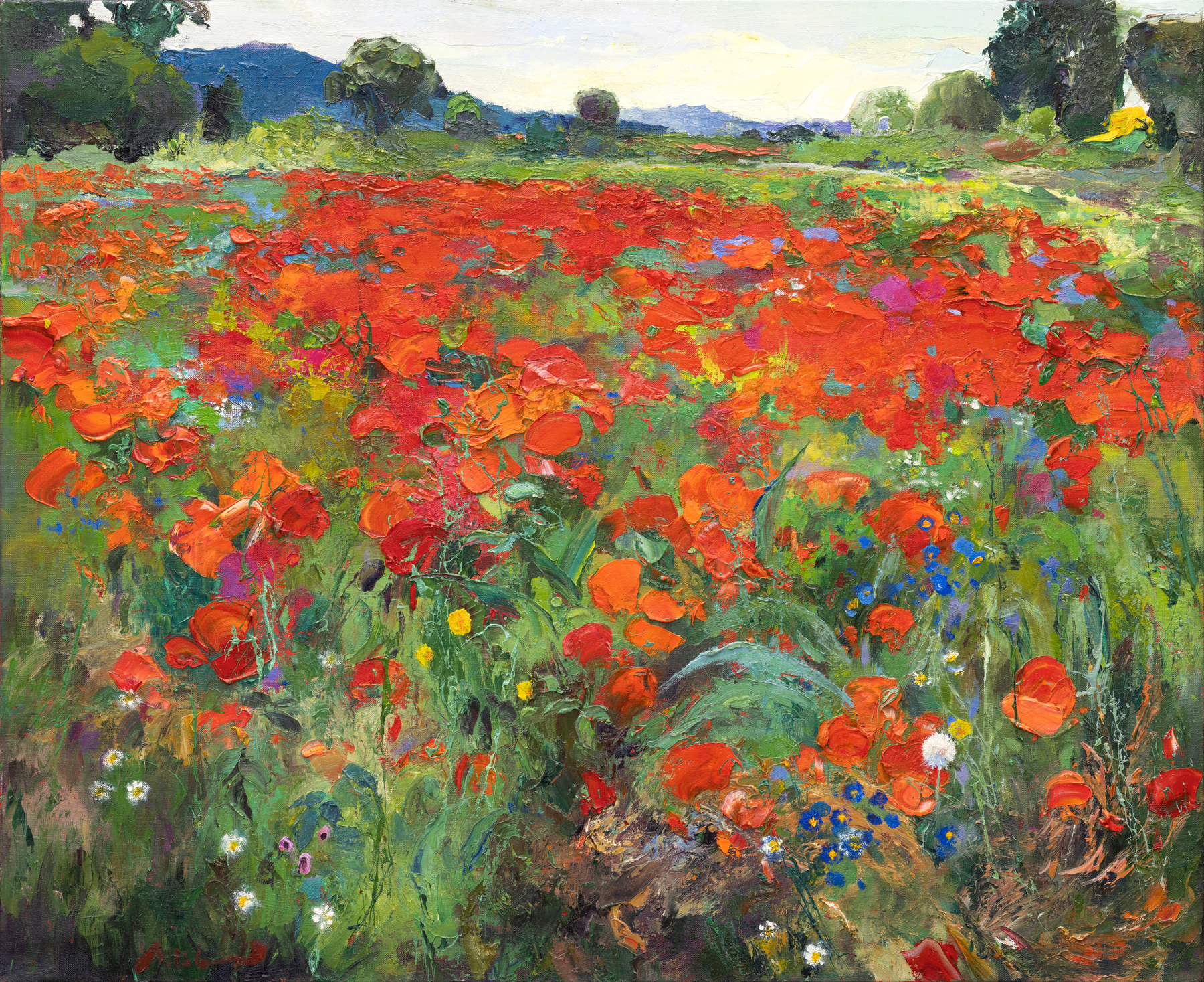 Ramon Vilanova - As The Days Go By, The Poppies Will Lose Courage And Youth, Leaving Their Freshness For The Memory