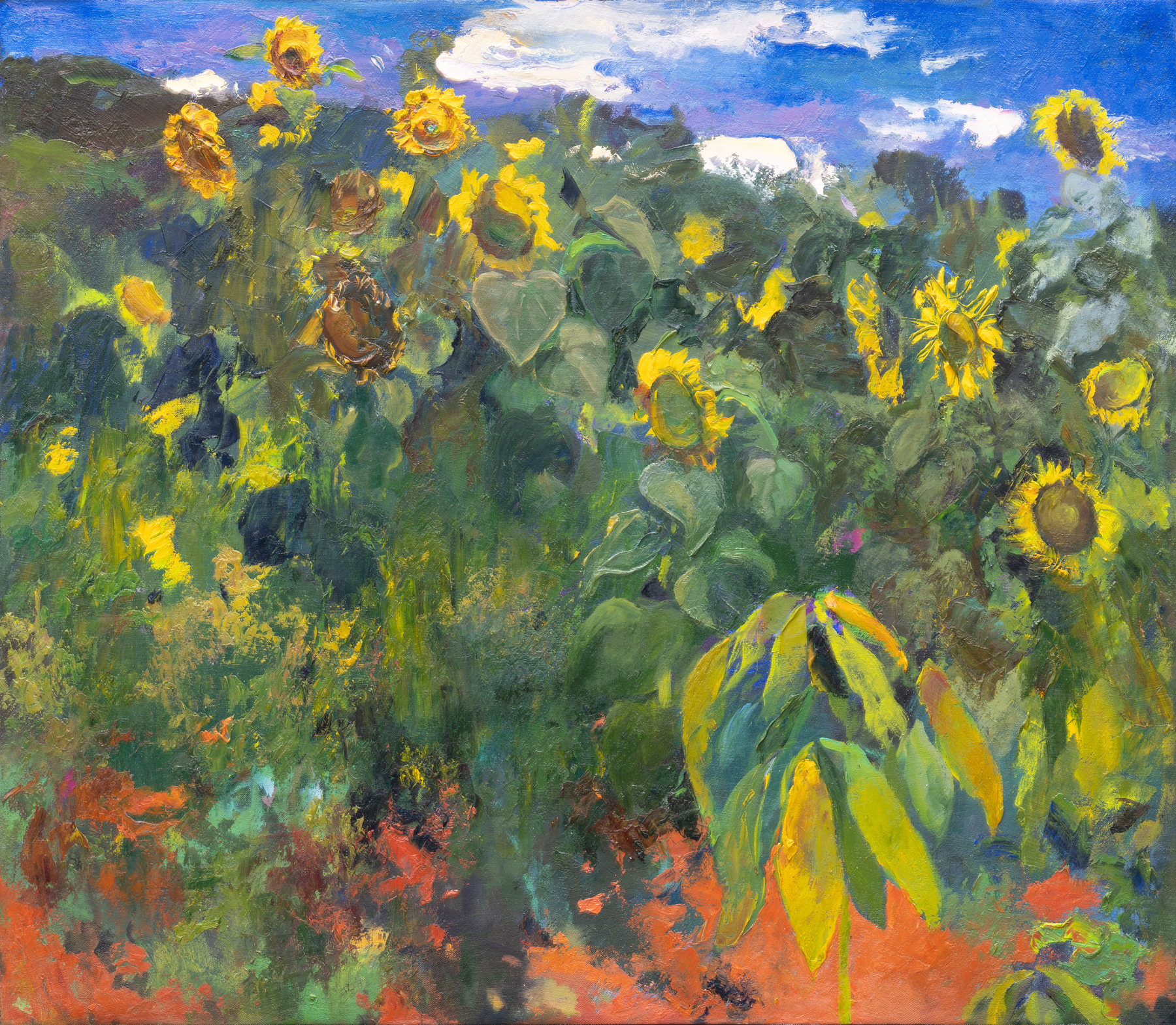 Ramon Vilanova - Sunflowers overwhelmed by a scorching sun, chased by a clouds mirage of rain.