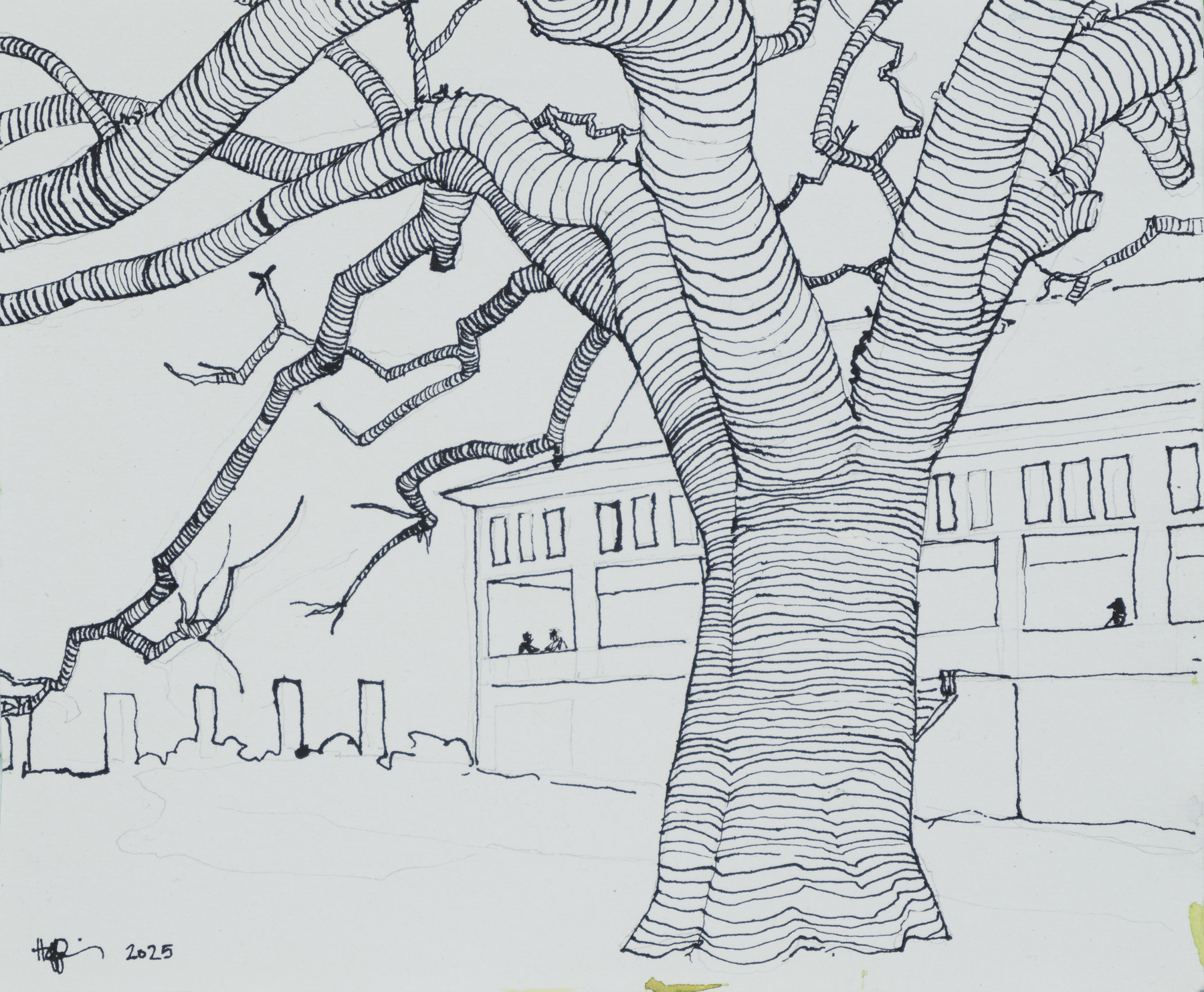 Melissa Hefferlin - Greyfield Inn