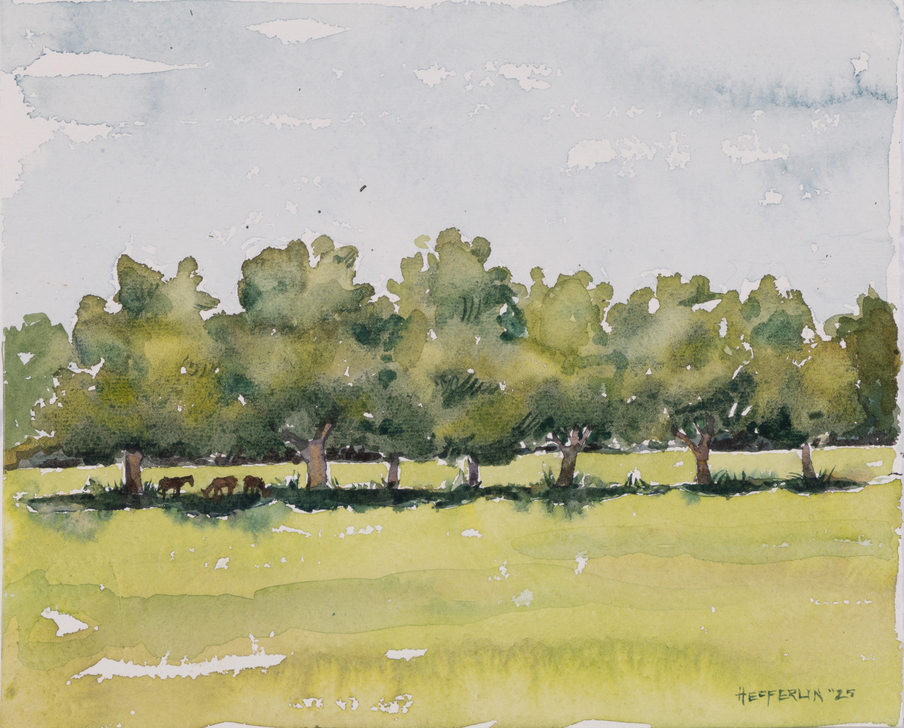 Melissa Hefferlin - In the Shade at Cumberland Island