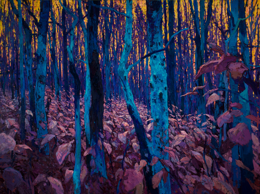 Timur Akhriev - Transcended