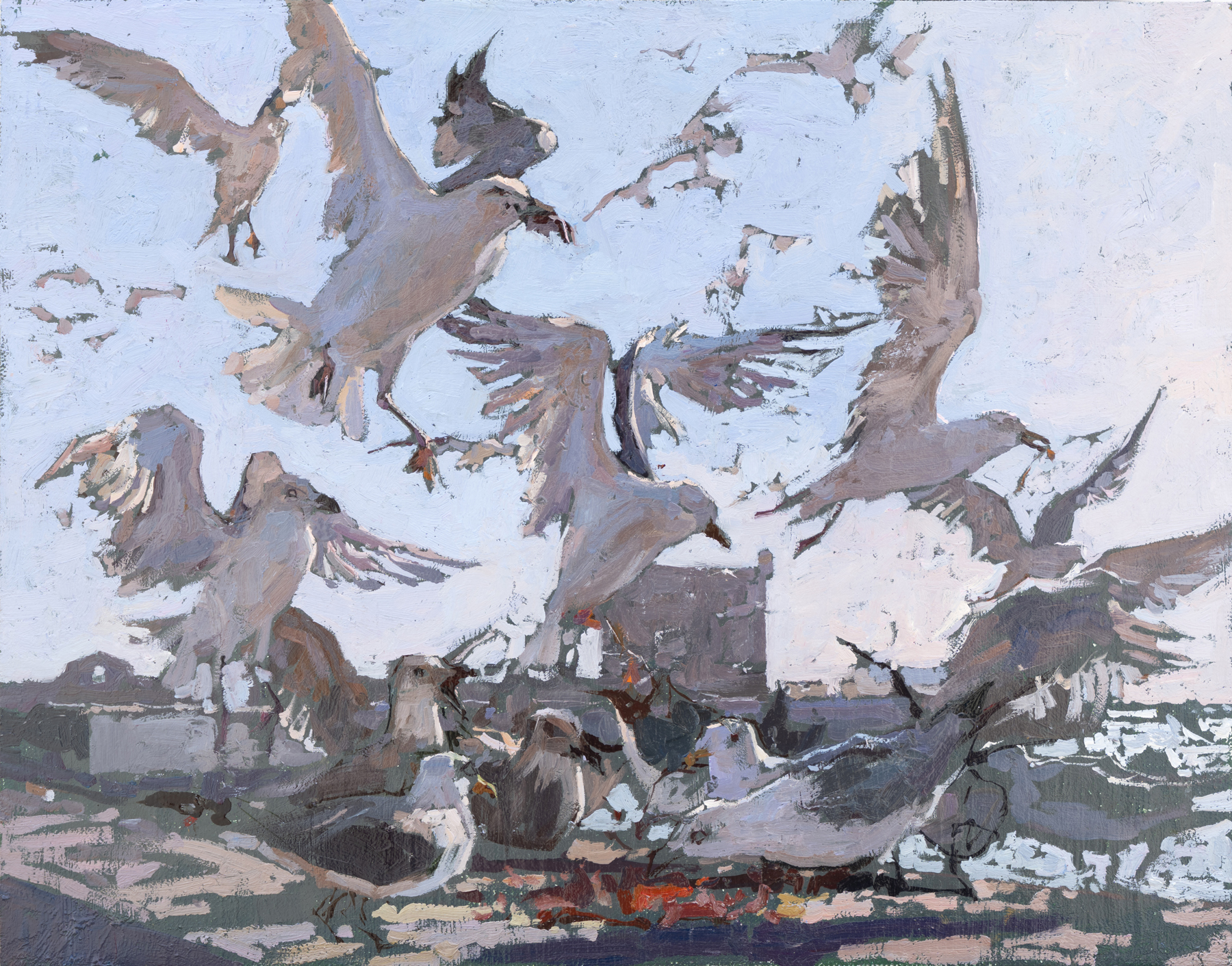 Daud Akhriev - Seagull Feast I