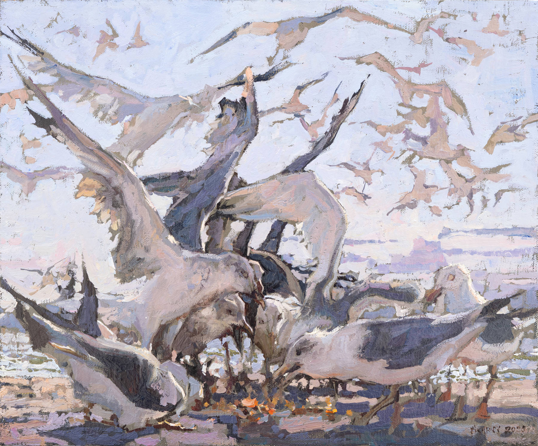Daud Akhriev - Seagull Feast II