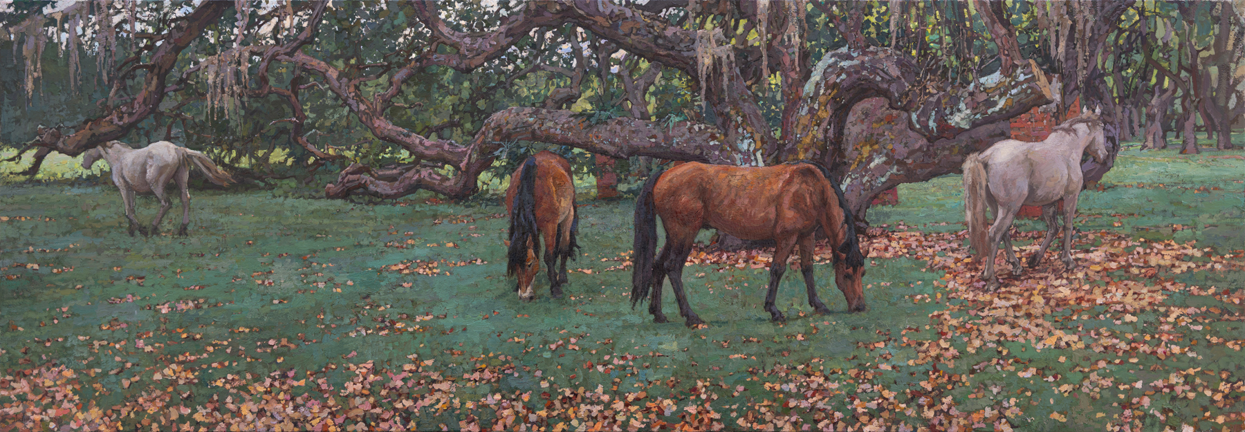 Daud Akhriev - Cumberland Island