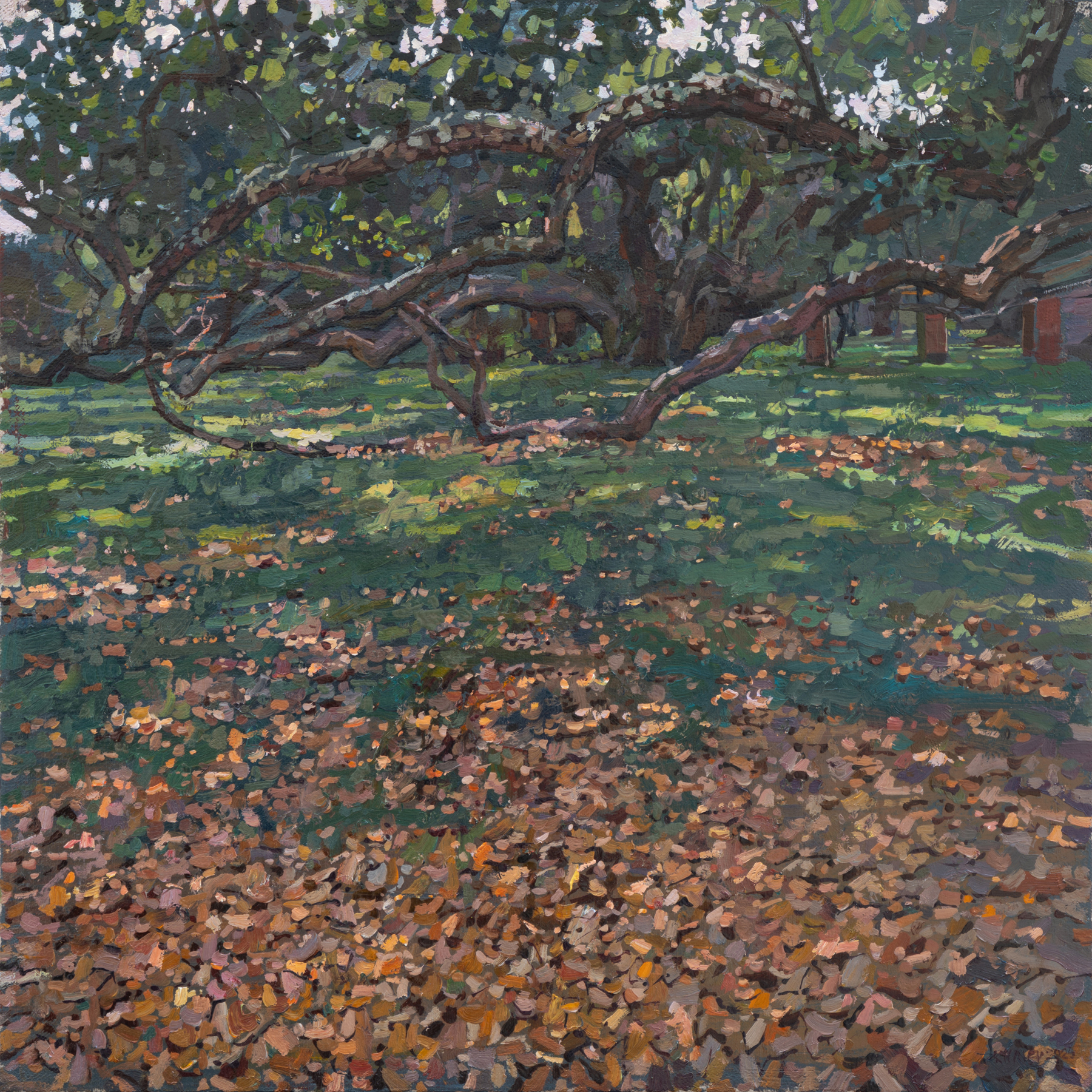 Daud Akhriev - Georgia Live Oaks