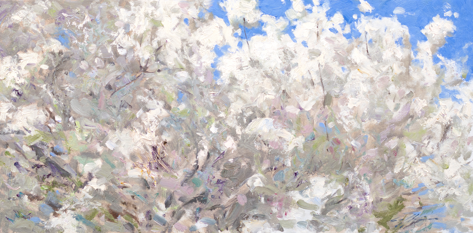 Matthew Cutter - Full Bloom