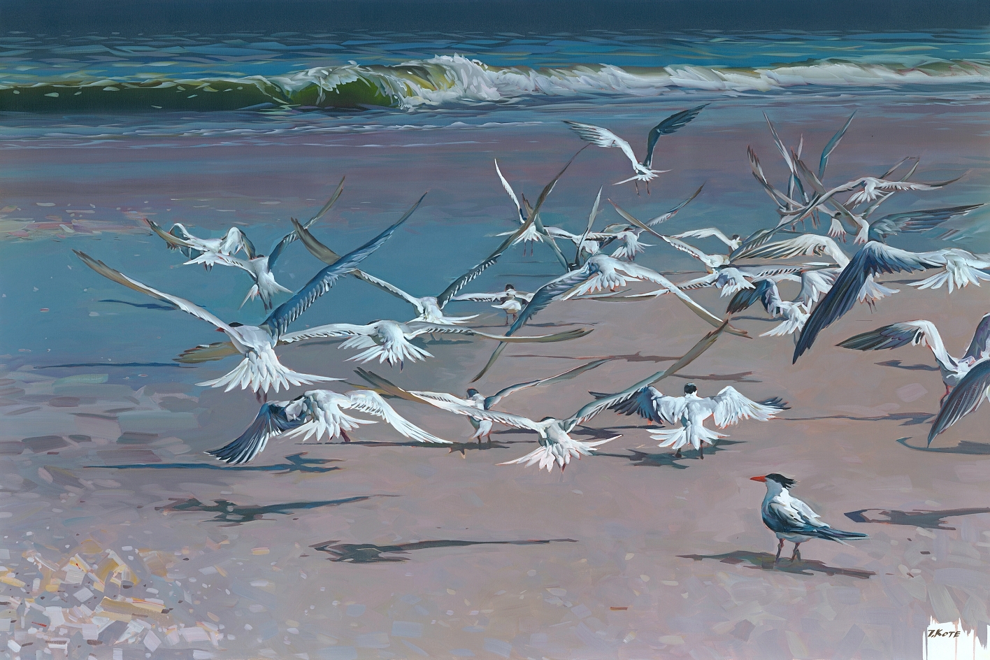 Josef Kote - Light Divine