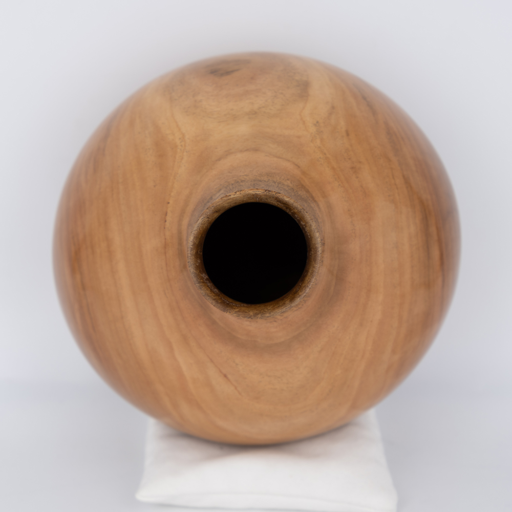 gene-ii-200-81007-9-1