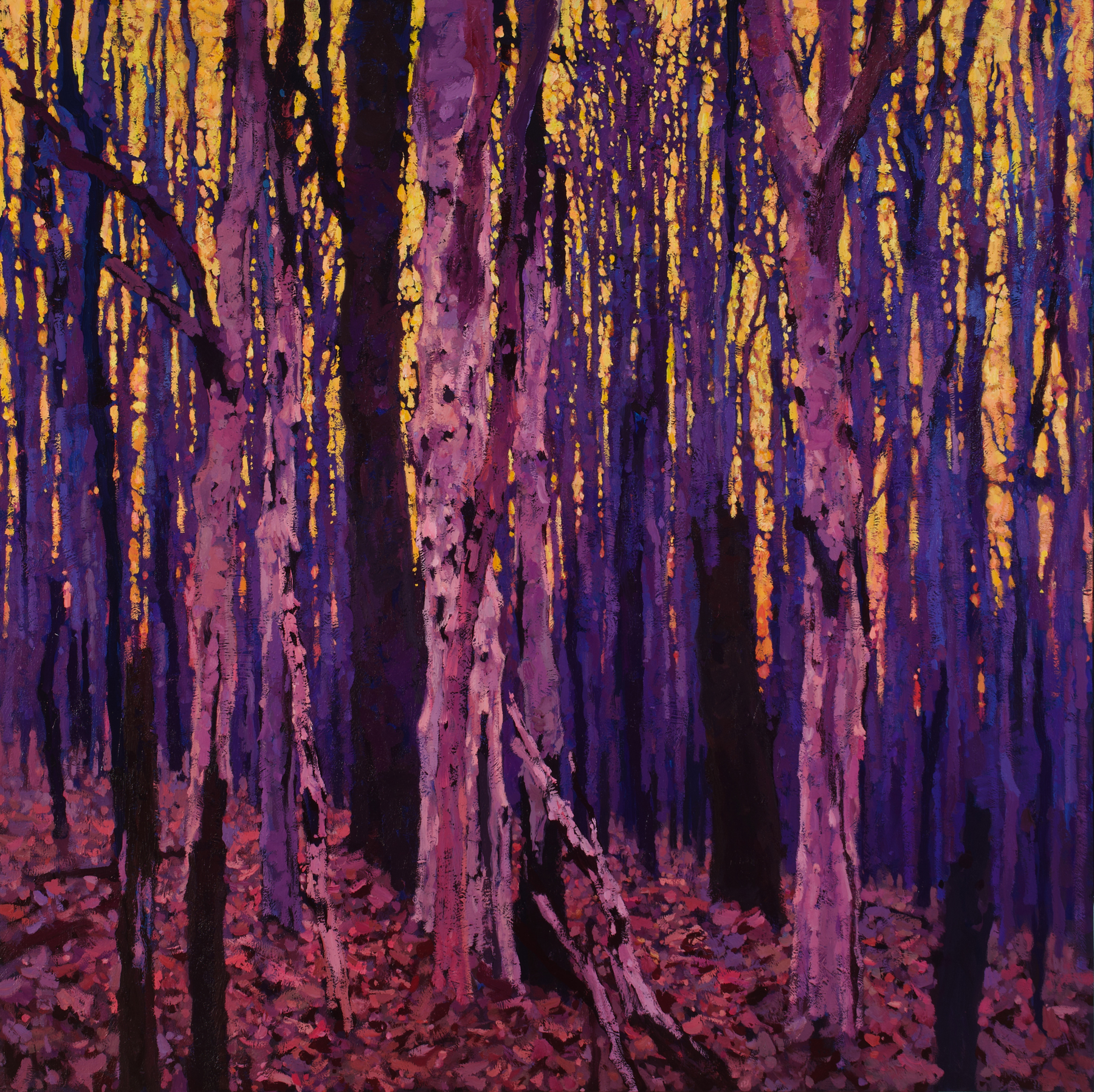 Timur Akhriev - Ambiguity