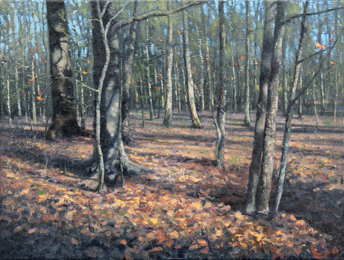 Matthew Cutter - Woodland Solitude