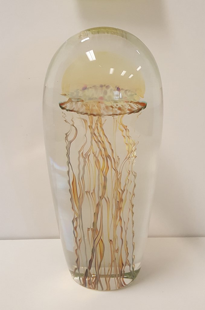 Richard Satava - Moon Jellyfish