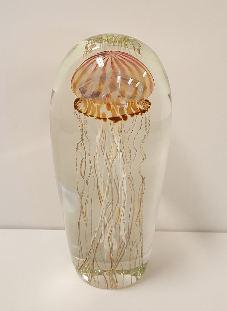 Richard Satava - Passion Moon Jellyfish