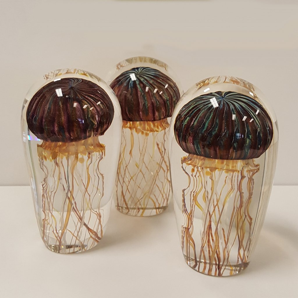 Richard Satava - Purple Ribbed Jellyfish