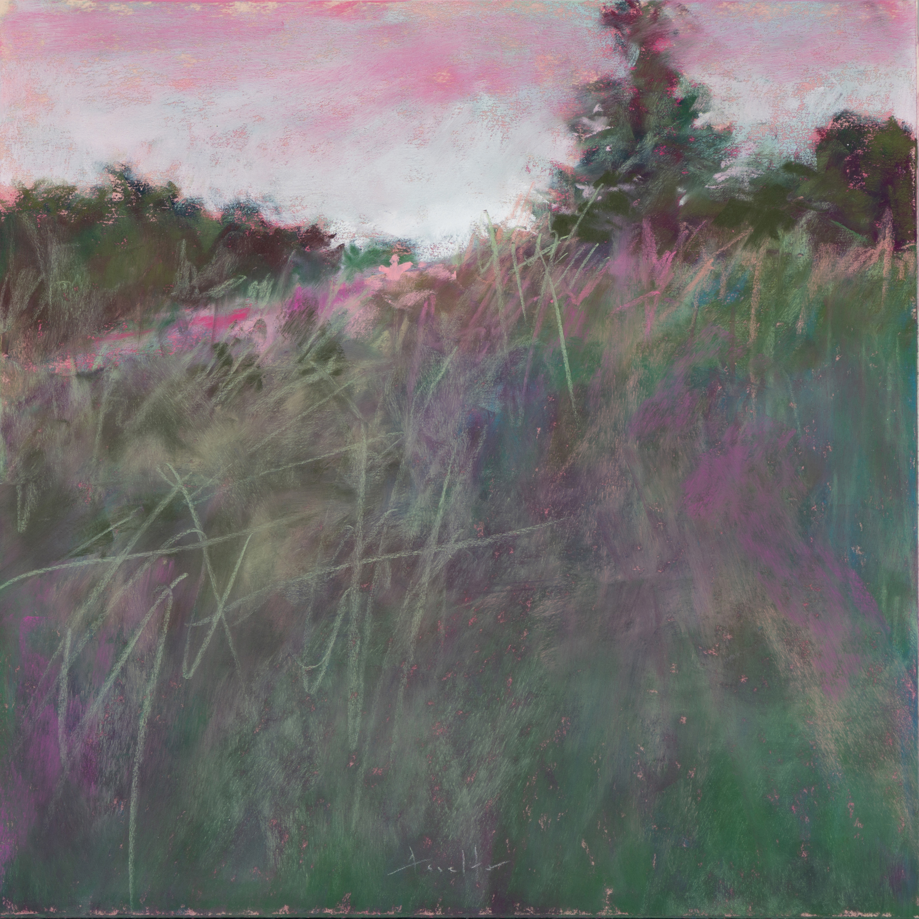 Lyn Asselta - Soft Afternoon