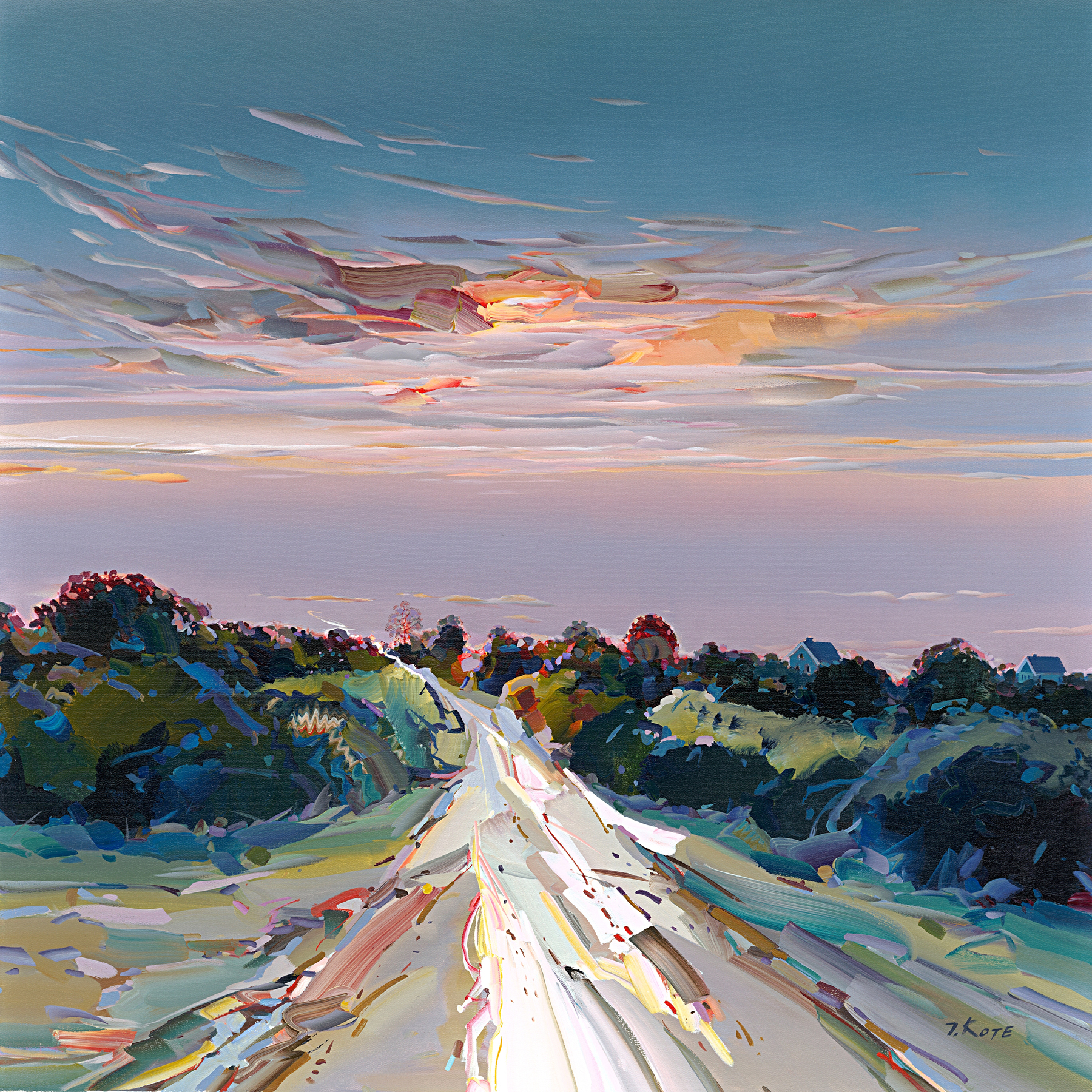 Josef Kote - Depth of Nature