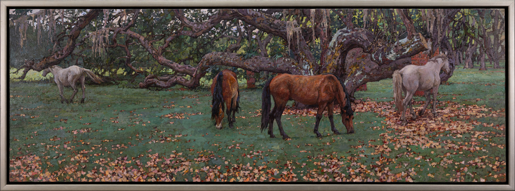 cumberland-island-80590-1