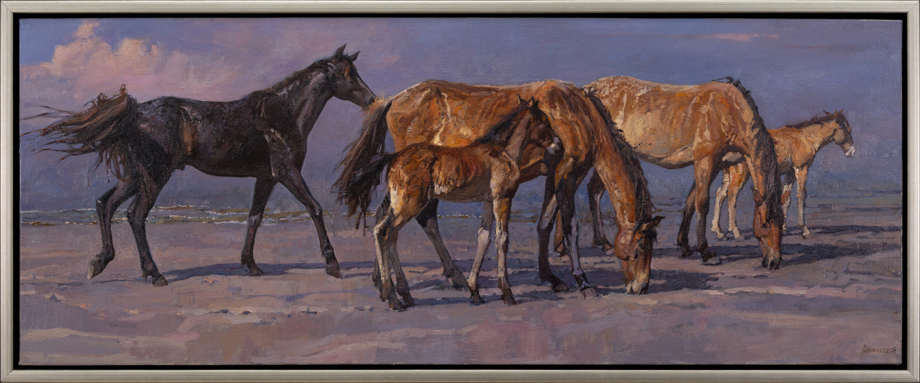 cumberland-island-ii-80592-1