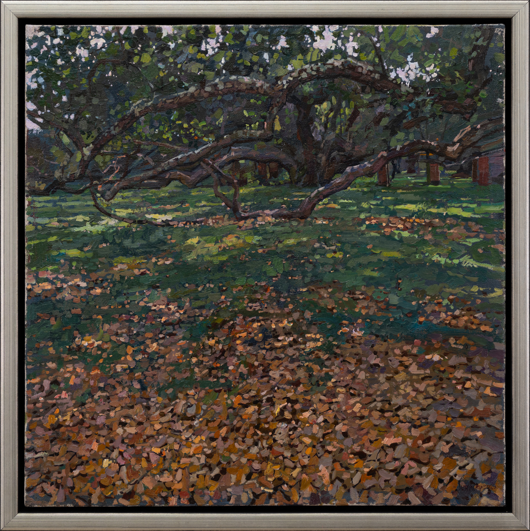 georgia-live-oaks-80600-4-1