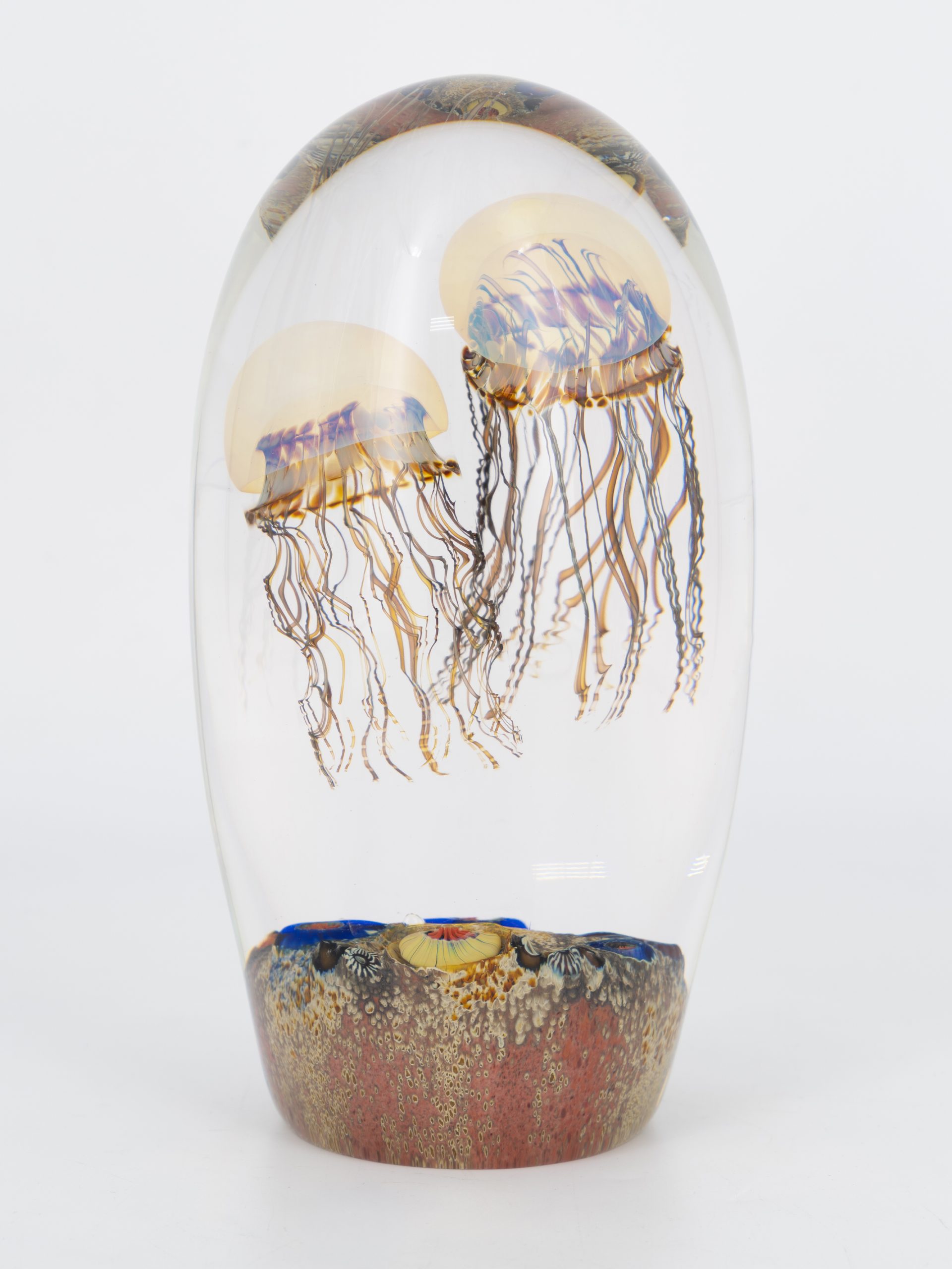 Richard Satava - Double Moon Jellyfish