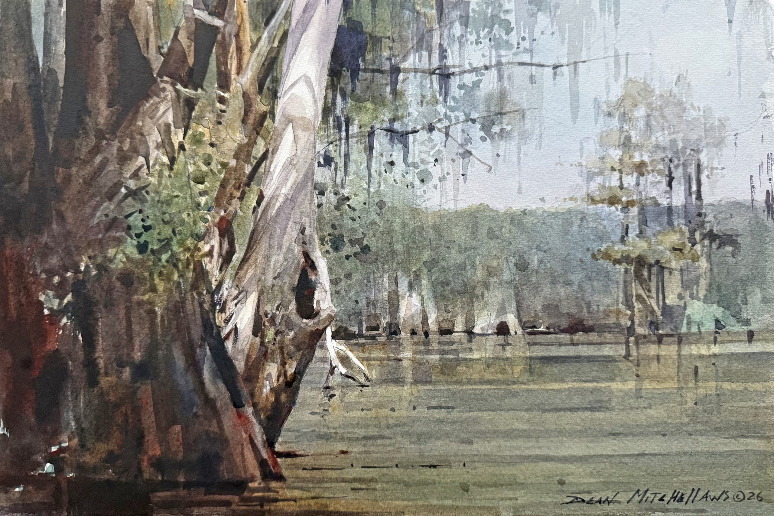 Dean Mitchell - Gulf Water Cypress