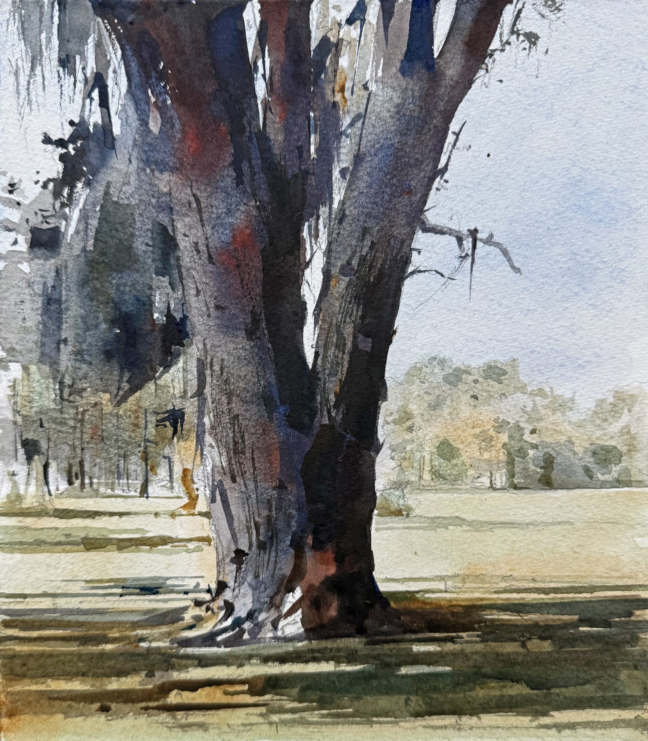 Dean Mitchell - Spring Oak