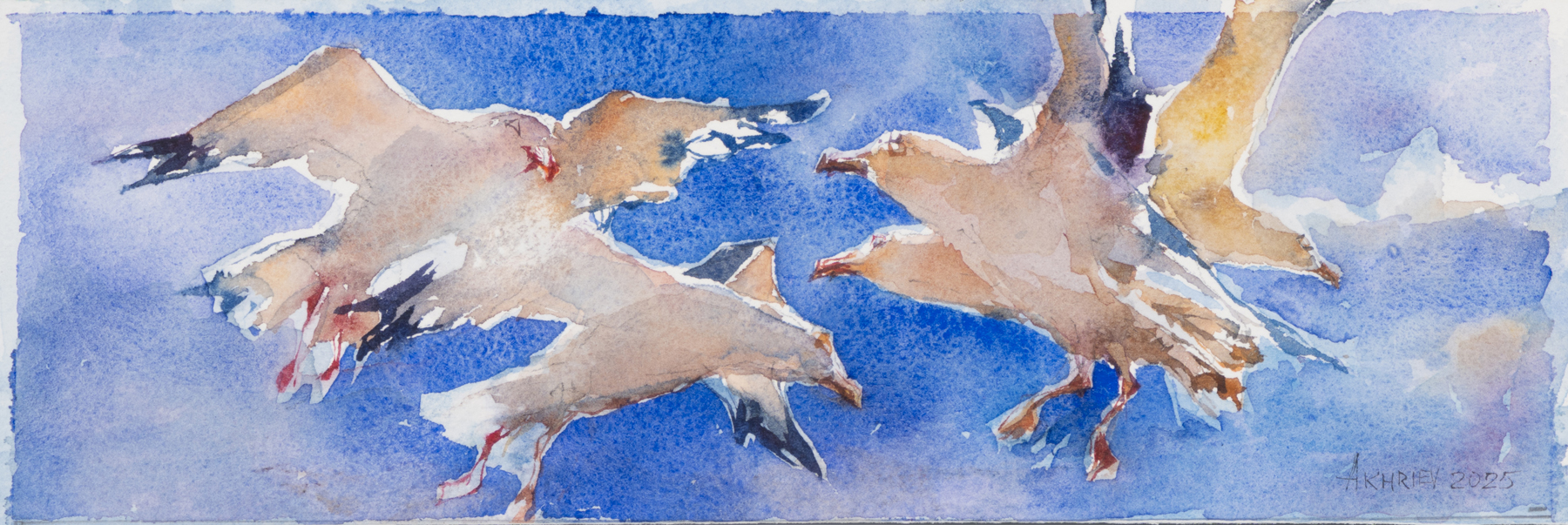 Daud Akhriev - Study for Seagull's Feast III