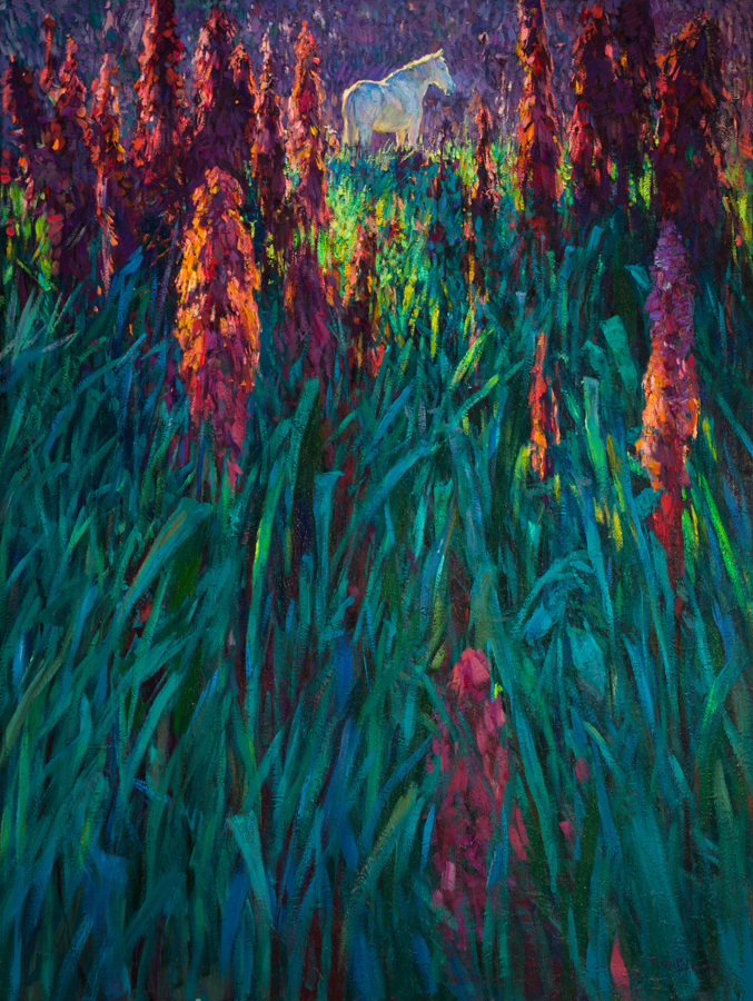 Timur Akhriev - Visitor