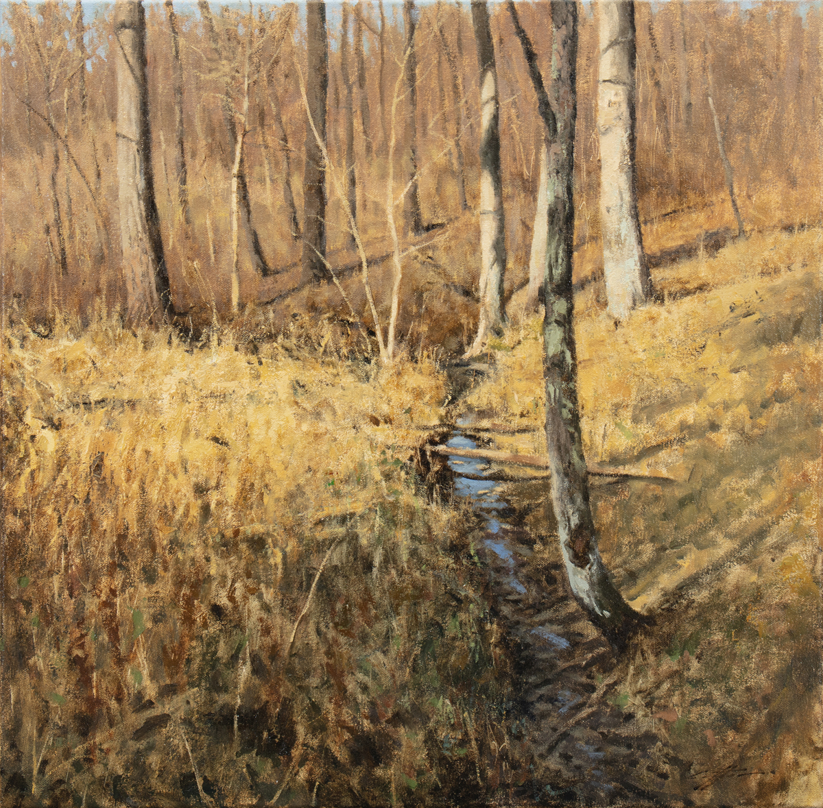 Matthew Cutter - Golden Light