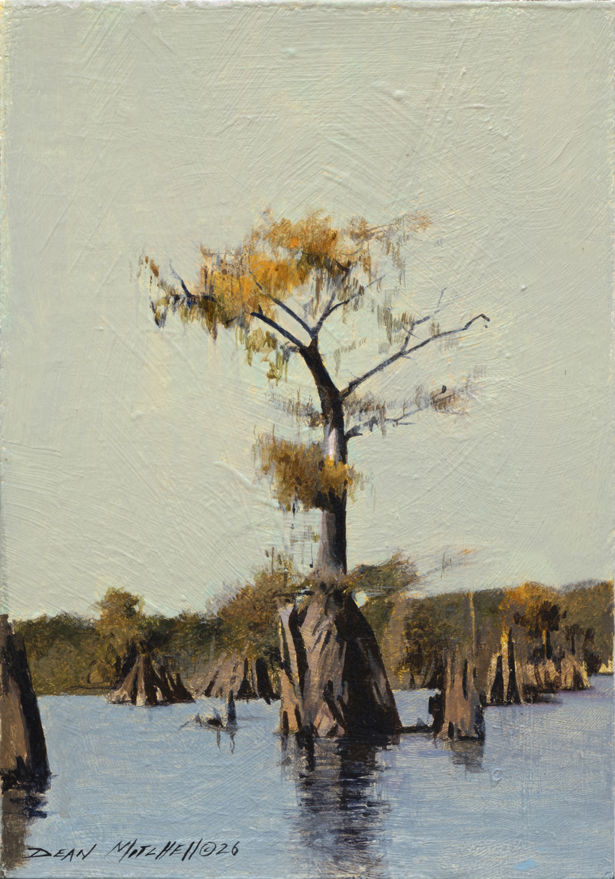 Dean Mitchell - Cypress Waters