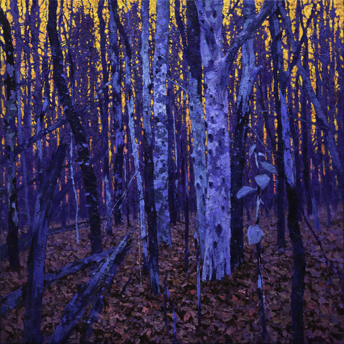 Timur Akhriev - Elation